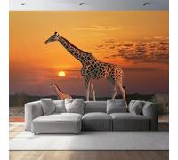 Papier peint panoramique 200 x 140 cm - Papier Peint Intissé Mural - Design Nature Gros plan Coucher de soleil Girafe - Couleur - pour Chambre Salon Bureau Personnalisé Décoration Murale