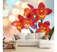 Papier Peint Panoramique 200 x 140 cm Poster Geant Mural 3D, Simple Plantes Orchidées Photo Peinture Murale pour Salon Chambre Toile Fond TV - Rouge Personnalisé Fresque Home Decor