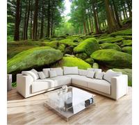 Papier Peint Panoramique 250 x 175 cm Mousse Forêt Mousse Art Photo Murale Chambre Décor, Papier Peint intissé fond pour Chambre D'Enfant Adolescent Maternelle Murale
