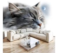 Papier Peint Panoramique 300 x 210 cm Animaux Chat Gris Art Photo Murale Chambre Décor, Papier Peint intissé fond pour Chambre D'Enfant Adolescent Maternelle Murale