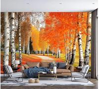Papier Peint Panoramique 300x210cm, Chemin à travers la forêt de bouleaux Mur Papier Peint,Paysages d'automne Décoration Revêtement Mural,Pour Cuisine, Salon, Fond TV Décoration Murale Couleur orange