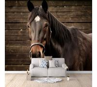 Papier Peint Panoramique 3D Ferme Dark Horse 300x210 cm Papier Peint Mural Poster Intissé,pour Chambre Salon Restaurant Personnalisé Décoration Murale