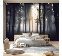 Papier Peint Panoramique 3D Forêt Brumeuse 150x105 cm, Fresque Murale Forêt Sombre en Intissé HD pour Salon Chambre, Revêtement Mural Décoratif, Pose Facile, Colle non incluse 457o