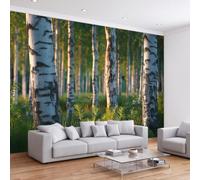 Papier Peint Panoramique 3D Forêt de bouleaux D'Effets , Papier Peint Intissé Décoration Intérieure Anti-UV, Paysage nordique Tapisserie Poster Murale pour Salon Chambre Chambre D'enfant 400 x 280 cm
