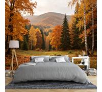 Papier Peint Panoramique 3D Forêt De Bouleaux Et De Pins D'Automne 200 × 140 Cm Motif Intissé Paysage Automnal Doré Vallée Montagneuse Pour Chambre Ou Salon Grande Fresque Murale Représentant