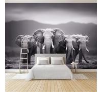Papier Peint Panoramique 3D Gris Époque Moderne Prairies Migration D'Éléphants - Fresque Murale Intissée Idéal pour Salon, Chambre à Coucher & Chambre d'Enfant, Décoration Murale (150 x 105 cm)