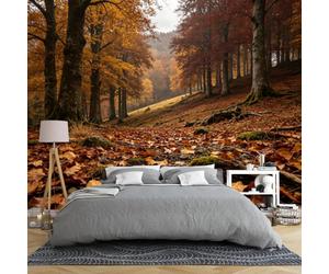 Papier Peint Panoramique 3D Intissé Représentant Un Paysage Automnal De Colline Boisée Dorée 100 × 70 Cm Motifs Vieux Arbres Feuilles Mortes Nature Idéal Pour Chambre Ou Salon Dimensions 100