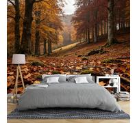 Papier Peint Panoramique 3D Intissé Représentant Un Paysage Automnal De Colline Boisée Dorée Avec De Vieux Arbres Des Feuilles Mortes Et Un Décor Naturel Dimensions 450 × 280 Cm (L × H) / 177