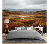 Papier Peint Panoramique 3D Intissé Représentant Un Paysage Automnal De Lande Et De Zone Humide Des Highlands 159 × 280 Cm Avec Une Forêt Dorée Et Des Marais Idéal Pour La Chambre Ou Le Salon