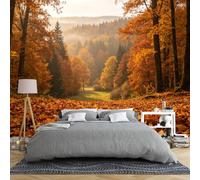 Papier Peint Panoramique 3D Intissé Représentant Un Paysage Automnal De Vallée Et D'Arbres Dorés 159 × 280 Cm Avec Feuillage D'Automne Brumeux Et Sous-Bois Idéal Pour Chambre Ou Salon Grande D
