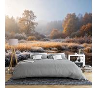 Papier Peint Panoramique 3D Intissé Représentant Un Paysage De Forêt Givrée Et Brumeuse En Automne 300 × 210 Cm Idéal Pour Le Salon Ou La Chambre Motifs Prairie Dorée Étang Nature Sauvage Ph