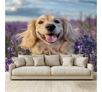 Papier Peint Panoramique 3D Murales Thème animalier : golden retriever dans un domaine de lavande Affiche Murale Intissé Tapisserie Décoration Fond De Mur Tv Salon Poster 200 (H) x 140 (L) cm