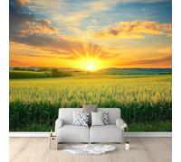 Papier Peint Panoramique 3D Paysage Coucher Soleil Sur Les Champs Campagne 300x210 cm Papier Peint Photo Mural Intissé, Poster Tapisserie Mural Personnalisé 3D Pour Salon Chambre Décoration Murale