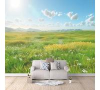 Papier Peint Panoramique 3D Prairie Intissé Photo Mural Moderne Poster Salon Chambre Mur de fond TV Décoration de Maison - Paysage De Nuages De Prairies Naturelles Papier Peint 400×280cm (L x H)