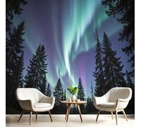 Papier Peint Panoramique 3D Soie, Personnalisé 250X175 Cm Murales Aurore Verte, Paysages Forêt Hivernale Pour Salon, Adulte Chambre D'Enfants Décoration Couleurs Mélangées