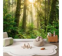 Papier Peint Panoramique 3D Vert Naturel Forêt 250 x 175 cm | Conifères Cimes Des Arbres Arbustes Fougères Papier Peint Intissé Chambre Salon Cuisine Haute Qualité Papiers Peints Murale