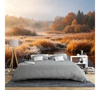 Papier Peint Panoramique 3D Zone Humide D'Automne Givrée 350 × 280 Cm Paysage Brumeux De Roseaux Dorés Fresque Murale Intissé Pour Chambre Ou Salon Grand Décor Mural Représentant Un Paysage Na