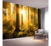 Papier peint panoramique 400 x 280 cm, Conception de motifs Nature Arbres Forêt Lumière, Revêtement mural décoration salon, Coloré Décoration Murale en Intissé, Pour Salon Chambre