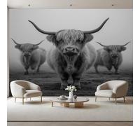 Papier Peint Panoramique Animaux des Prairies Brumeux (Bovins des Highlands) 400x280cm Tapisserie Murale Panorama Papier Peint Vache Grise pour Salon, Adulte Chambre d'enfants, Restaurant Décoration