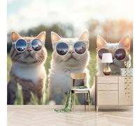 Papier peint panoramique autocollant Chat Portant Des Lunettes De Soleil - intissé - 500x280cm - Tableaux Muraux Tapisserie Photo Style Mignon Et Humoristique - Pose Facile & Amovible sans Trace