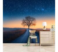 Papier peint panoramique autocollant Chemin De Campagne à L'aube - intissé - 500x280cm - Tableaux Muraux Tapisserie Photo Paysages Naturels - Pose Facile & Amovible sans Trace - Pour Chambre & Salon