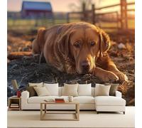 Papier peint panoramique autocollant Golden Retriever Mignon - intissé - 366x256cm-Tableaux Muraux Tapisserie Photo Une Vie Rurale Chaleureuse - Pose Facile & Amovible sans Trace - Pour Chambre