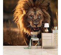 Papier peint panoramique autocollant Gros Plan D'un Lion Rugissant - intissé - 500x280cm - Tableaux Muraux Tapisserie Photo Style De Photographie Réaliste - Pose Facile & Amovible sans Trace