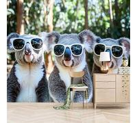 Papier peint panoramique autocollant Koala Portant Des Lunettes De Soleil - intissé - 300x210cm - Tableaux Muraux Tapisserie Photo Mignon, Humoristique Et Spirituel - Pose Facile & Amovible