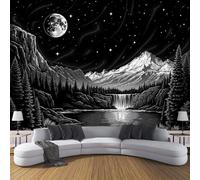 Papier Peint Panoramique Cascade Forêt Ciel Nocturne 300x210cm - Mural Peinture De Paysage Mystérieuse Tableaux Muraux Poster Geant Mural Tapisserie Décorative pour Salon Chambre Fond Tv, Noir Blanc
