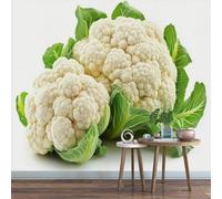 Papier Peint Panoramique Chou-Fleur 250x175 cm 3D Papier Peint Intissé Légumes Verts Photo Trompe l'oeil Poster Grand Mural Salon Chambre Enfant Chambre Décoration Murale a-9987