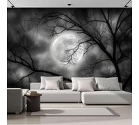Papier Peint Panoramique Ciel Mystérieux Clair Lune, Poster Geant Mural Personnalisé 3D, Paysage Forestier Gothique Pour Salon Chambre D'Enfant Décoration Murale, Noir Blanc Moderne Murales, 300X210Cm