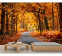 Papier peint panoramique de route de forêt d'automne - Feuilles dorées tombées - Papier peint - Papier peint pour chambre à coucher - 250 x 175 cm
