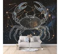 Papier Peint Panoramique Douze Signes Du Zodiaque 250 × 175 cm - Papier Peint Intissé Revêtement, Cancer Mural pour Chambre Salon 3D Art Design Moderne Décoration Murale