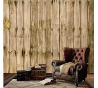 Papier Peint Panoramique Effet Bois Papier Peint Intissé Planche de Bois Rustique Poster Trompe l'oeil Mural 3D Art Décoration Murale Salon Chambre 300x210 cm 2149b