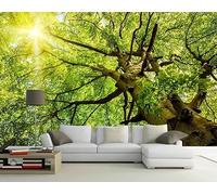 Papier Peint Panoramique Ensoleillé Bois Route Ombragée Paysage 300x210cm Papier Peint 3D Intissé Tapisserie Poster Chambre Salon Decoration Murale -MIWEI Wallpaper-ZXY-02074