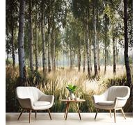 Papier Peint Panoramique Europe Du Nord Champs,Papier Peint 3D Motif Bouleaux Herbes Sauvages Intissé Wallpaper Chambre Bureau Déco 150×105cm Personnalisé Décoration Murale Vert