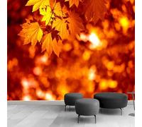 Papier Peint Panoramique Feuille D'Érable Papier Peint Intissé Feuilles Automne Poster Trompe l'oeil Mural 3D Art Décoration Murale Salon Chambre 300x210 cm 2197b