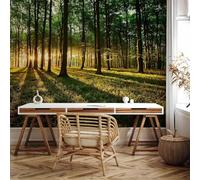 Papier Peint Panoramique Forêt 400x280 cm Papier Peint Intissé 3D Paysage Naturel Muraux Tapisserie Photo Décoration Murale Poster Mural XXL pour Chambre Salon 1679-ABC