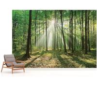Papier Peint Panoramique Forêt 450x315 cm Papier Peint Intissé 3D Paysage Naturel Muraux Tapisserie Photo Décoration Murale Poster Mural XXL pour Chambre Salon 16-ABC