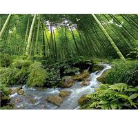 Papier Peint Panoramique Forêt de Bambous 250x175 cm 3D Papier Peint Intissé Paysage Forestier Vert Photo Trompe l'oeil Poster Grand Mural Salon Chambre Enfant Chambre Décoration Murale a-11035