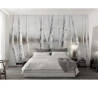 Papier Peint Panoramique Forêt De Bouleaux Blancs Papier Peint 3D Tapisserie Murale Décoration Chambre Salon -songqians-09720-430cmx300cm
