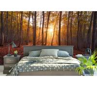 Papier Peint Panoramique Forêt Jungle Arbres Papier Peint 3D Tapisserie Murale Décoration Chambre Salon -songqians-00809-400cmx280cm