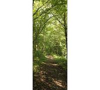 Papier peint panoramique intiss?, photo promenade dans la for?t, chemin for?stier , 250 cm X 96 cm