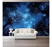 Papier Peint Panoramique Intissé 300 x 210 cm, Motif De Ciel Étoilé Poster Photo Muraux Pour Cuisine Chambre Salon Chambre D'Enfant Décoration Murale Style Paysage Nocturne Naturel, Bleu Foncé