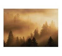 Papier Peint Panoramique Intissé Beige Forêt Brouillard - 400x280 cm - Papier Peint Chambre et salon