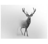 Papier Peint Panoramique Intissé Chevreuil Animaux 300x210 cm - Colle Inclus - Chambre et Salon - Moderne Papier Peint