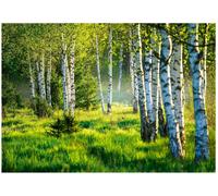 WallArena - Papier peint photo non tissé - Motif forêt - 400 x 280 cm - Pour salon et chambre à coucher - Effet 3D - Avec colle - Paysage de bouleaux naturel - Vert
