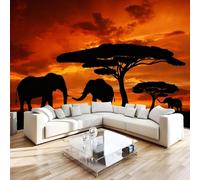 Papier Peint Panoramique Intissé Photo Mural éléphant 200x140 cm 3D Motif Muraux Geant Mat Poster Coucher De Soleil Animaux Décoration murale Art non tissé décoration chambre TV mur salon R1121