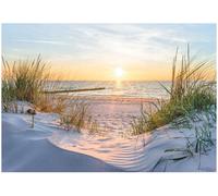 WallArena - Papier peint photo non tissé - Motif mer - 350 x 250 cm - Pour salon et chambre à coucher - Effet 3D - Avec colle - Paysage, plage, coucher de soleil, nature