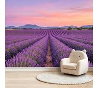 Papier Peint Panoramique Intissé Salon, Rêveur Pastoral 350 x 256 cm | Violet Murale Champ Lavande Montagnes Crépuscule Papiers Peints Decoratif pour Chambre Cuisine, Donnez un nouveau souffle